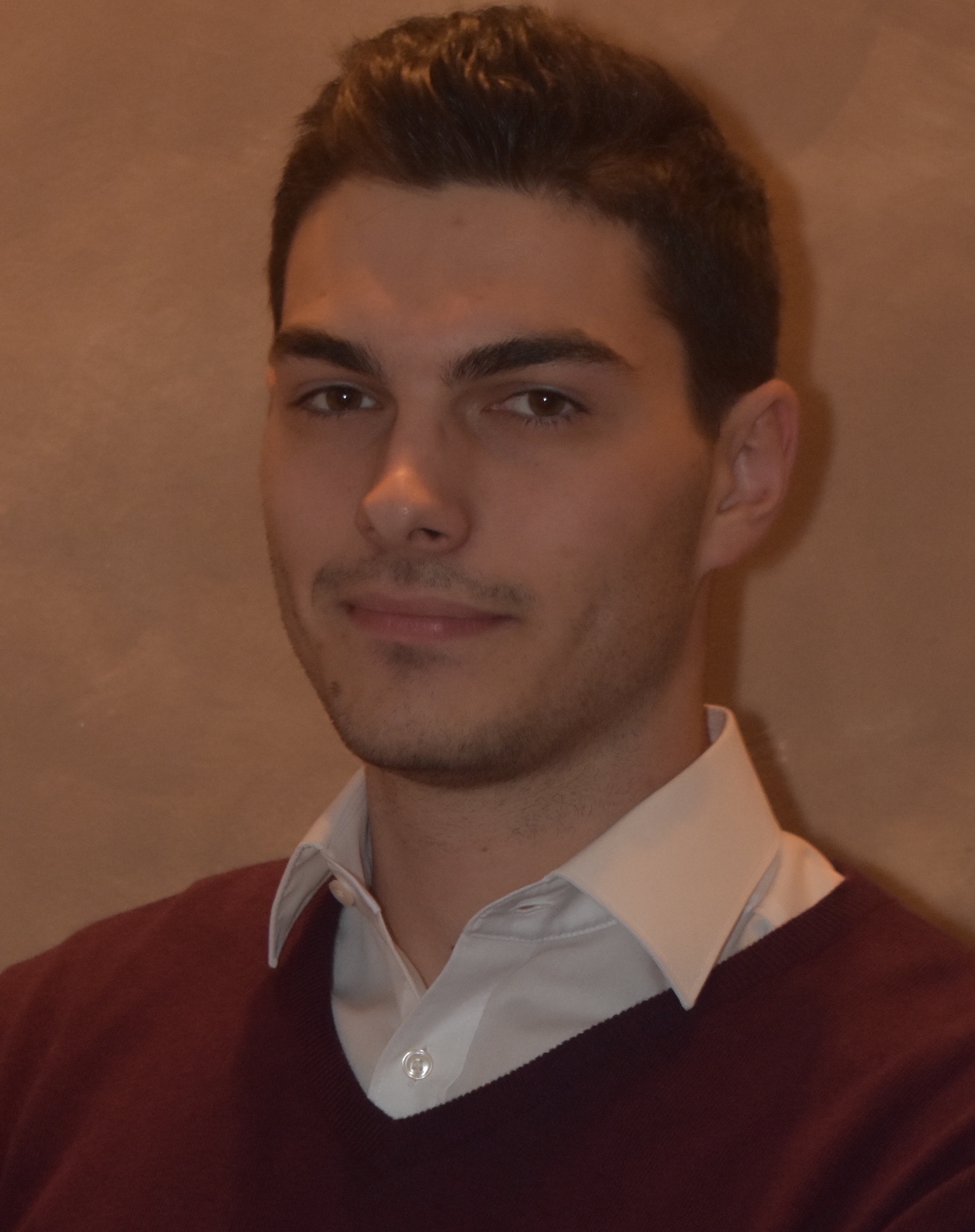 bogdan bogdan